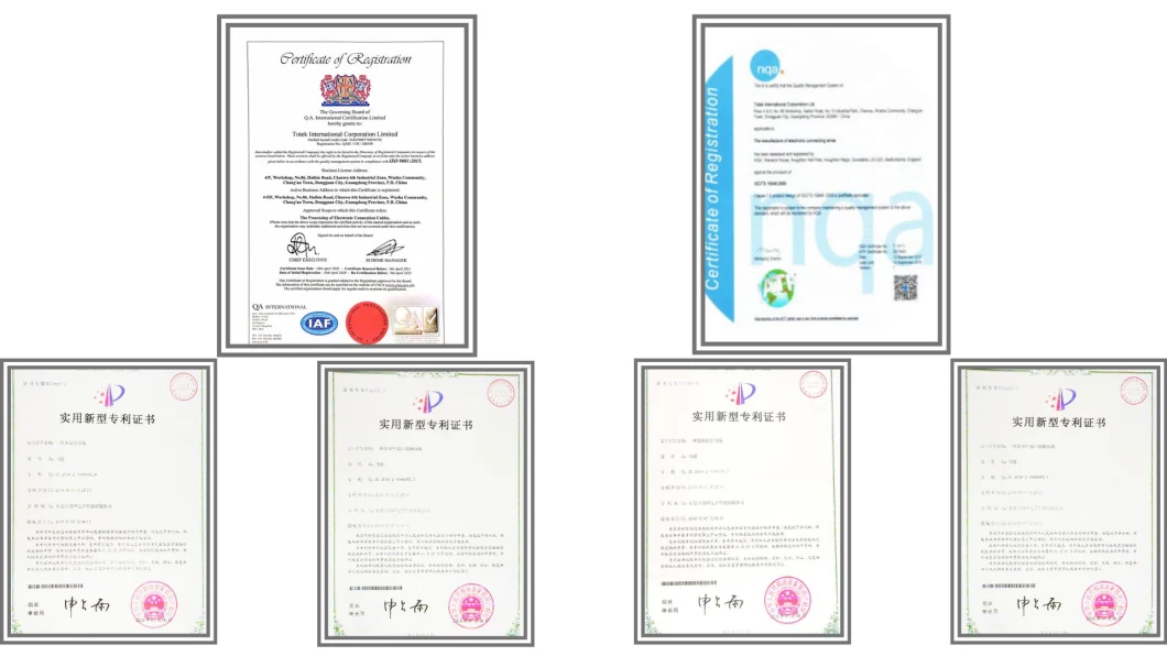 Custom RJ45 LAN Cable Internet Link Cable